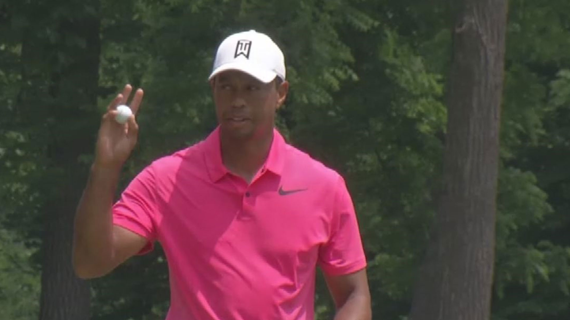 tiger_1528020806639.jpg