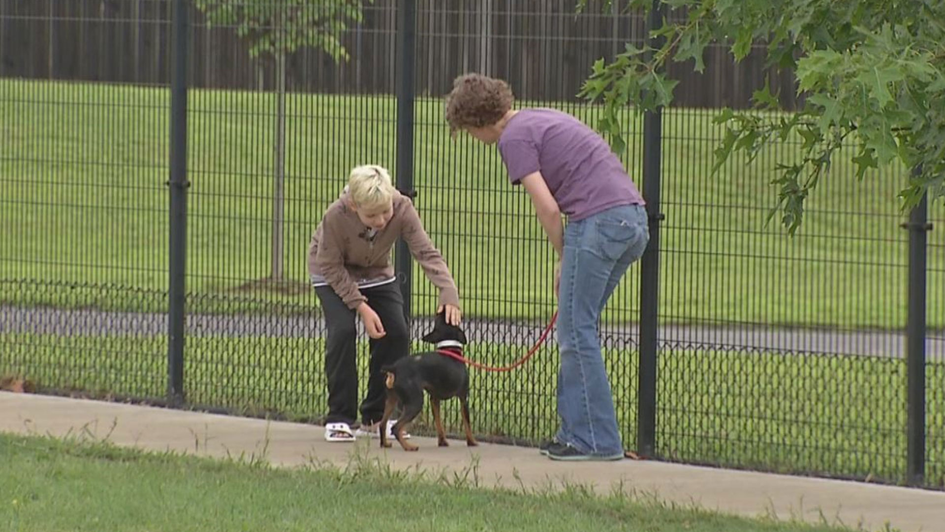 clear-the-shelters_1534615950812.jpg