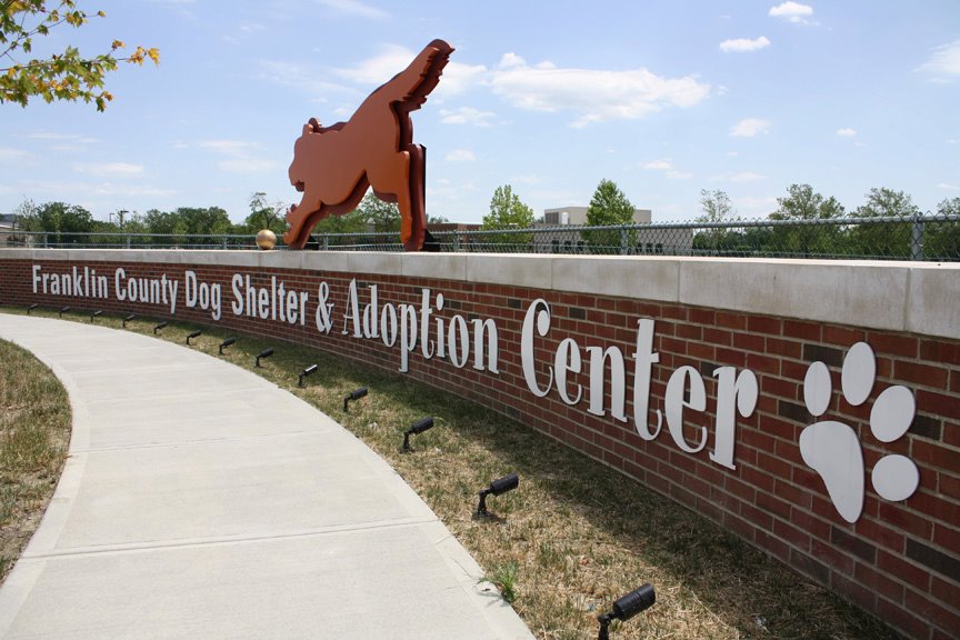 dog-shelter_183048