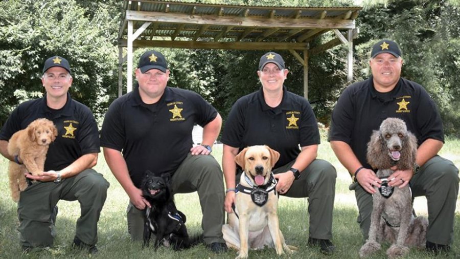 therapy-dog-team_1534615072557.jpg