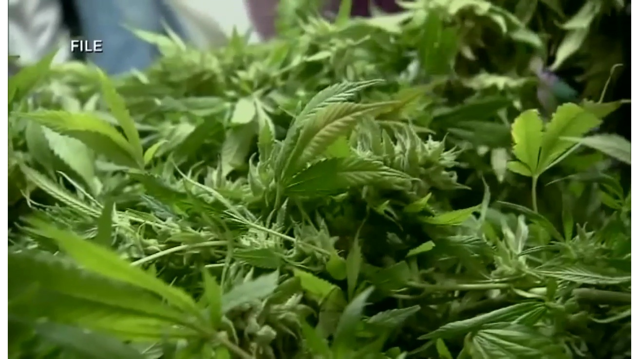Medical_marijuana_delayed_in_Ohio_1_20180607011602