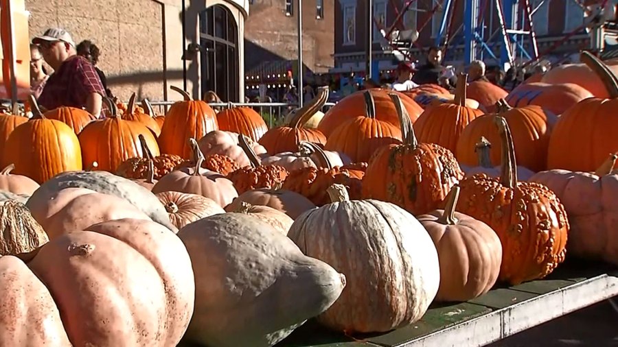 pumpkins_1536025868493.jpg