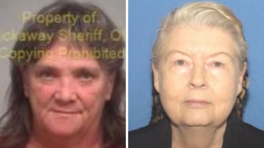 Grandmothers-cover-up_1542310261043.JPG