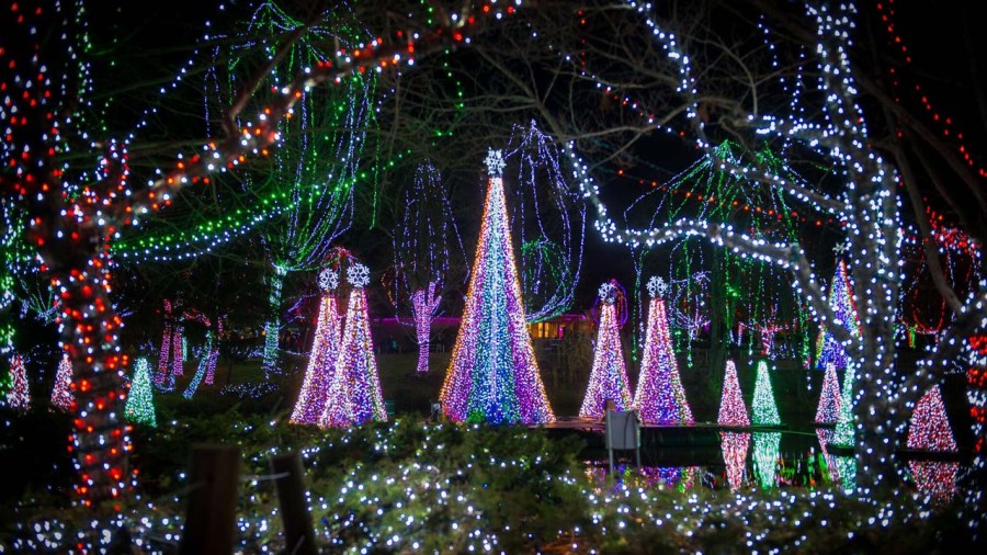 zoo lights_365967