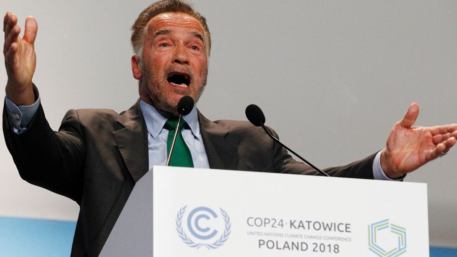 arnold_1543892587150.jpg