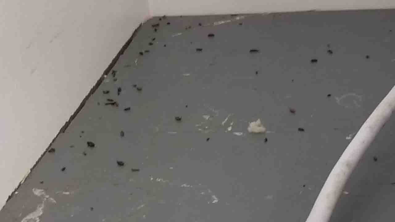 Daycare center infested with rodents forced to close