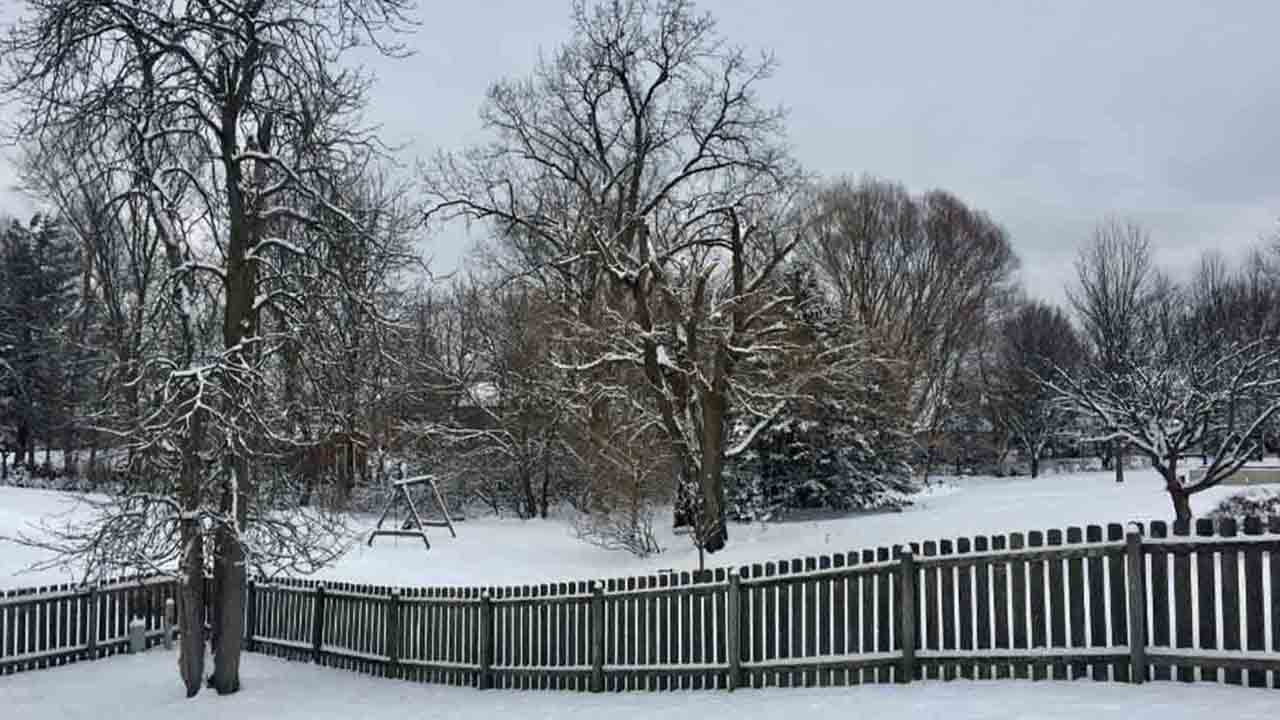 snow web pic_1547657578439.JPG.jpg