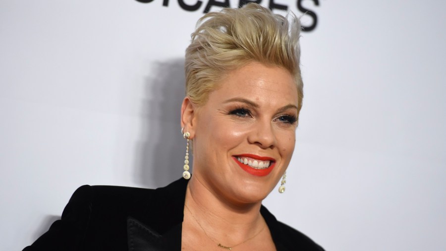 PINK singer los angeles-846652698