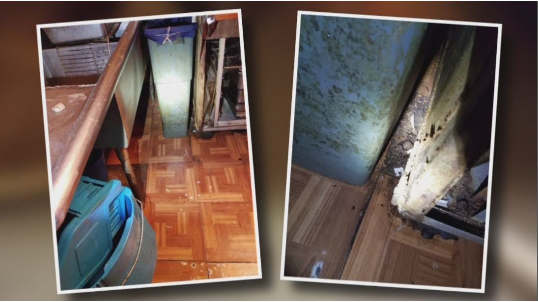 Two restaurants cited after inspectors find cockroaches