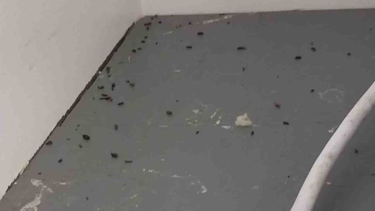 Westerville Childcare Center re-opens after rodent infestation