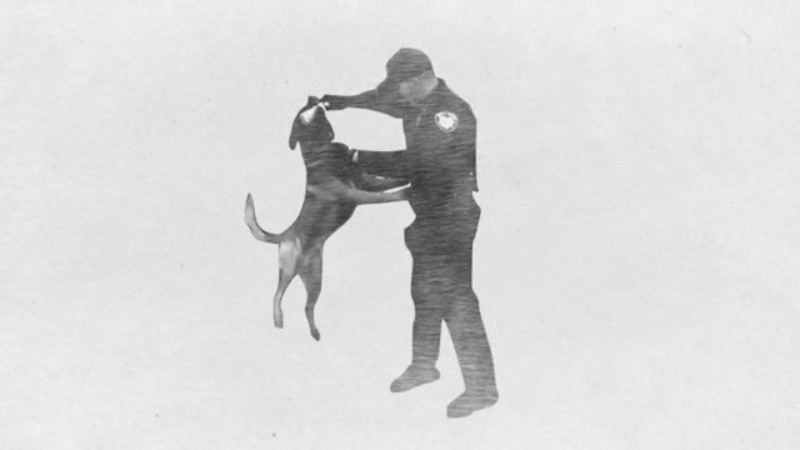 Pickaway County Sheriff's k9 canine Harry