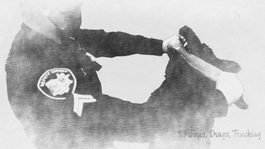 Pickaway County Sheriff K9 canine Joris