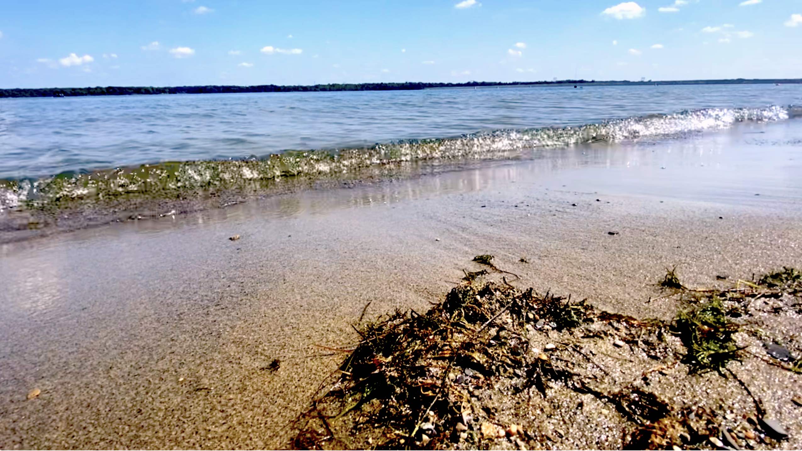 Alum Creek Reservoir