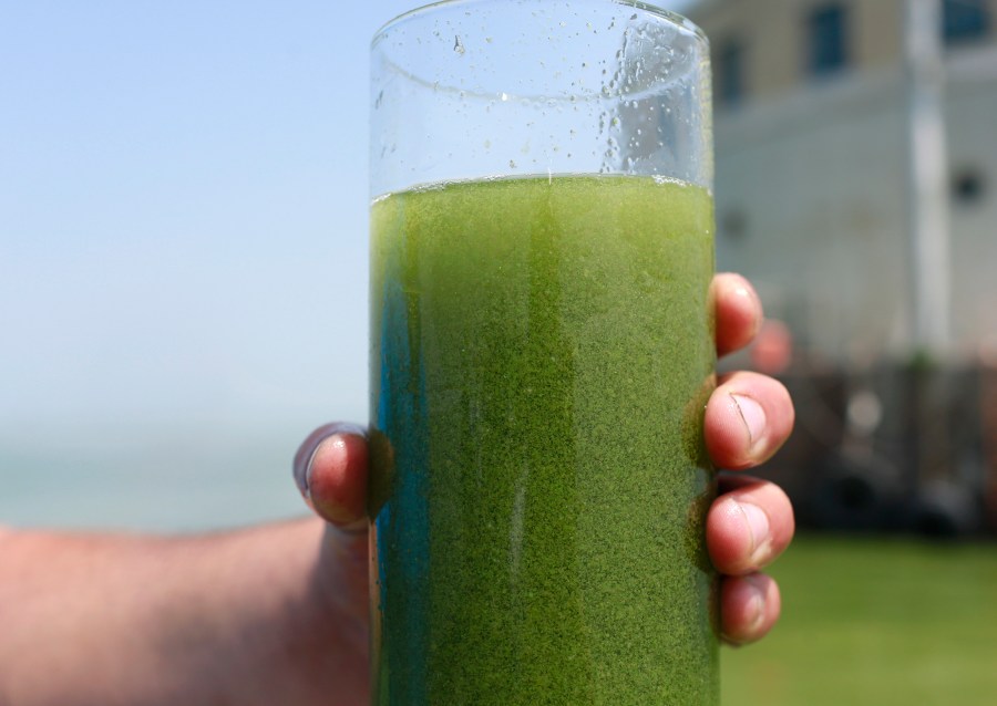 2014 Lake Erie Toledo algae algal bloom water glass