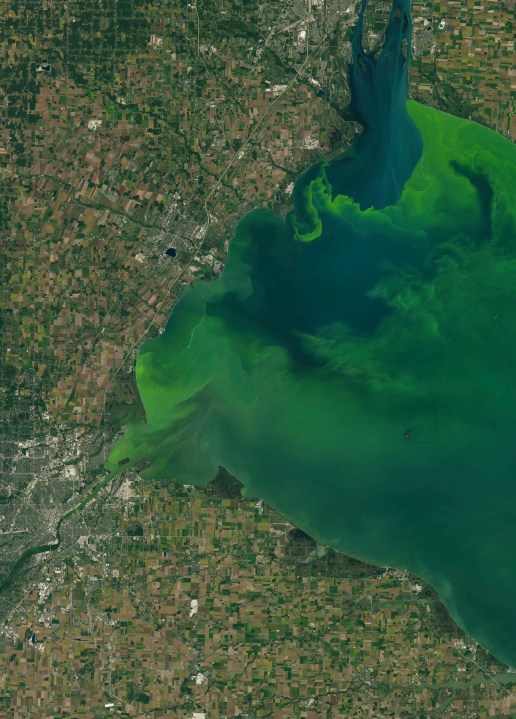 2017 Toledo Ohio algae algal bloom