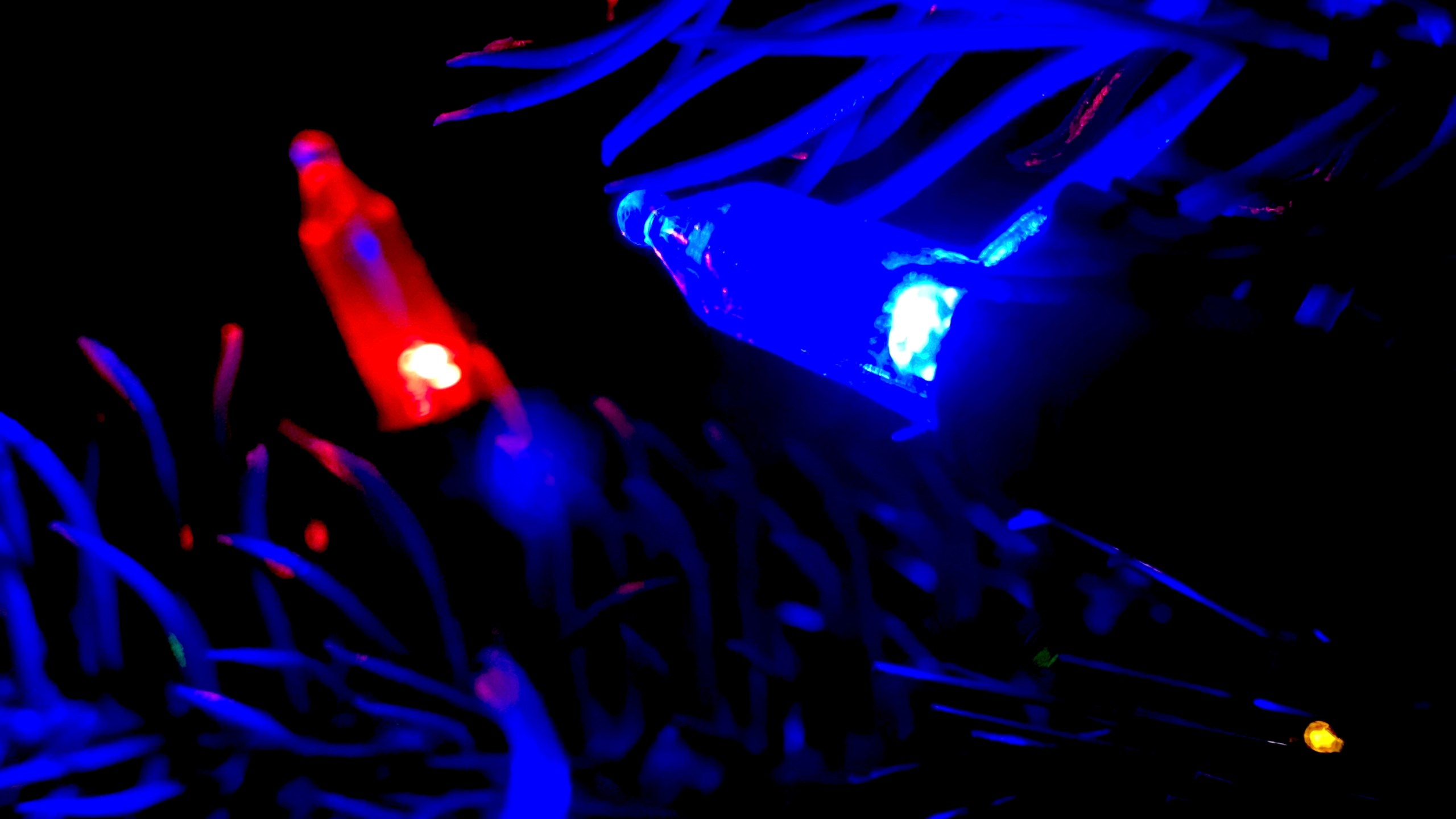 Generic Christmas Lights