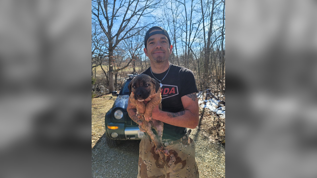Ross County saved puppy