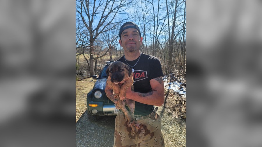 Ross County saved puppy