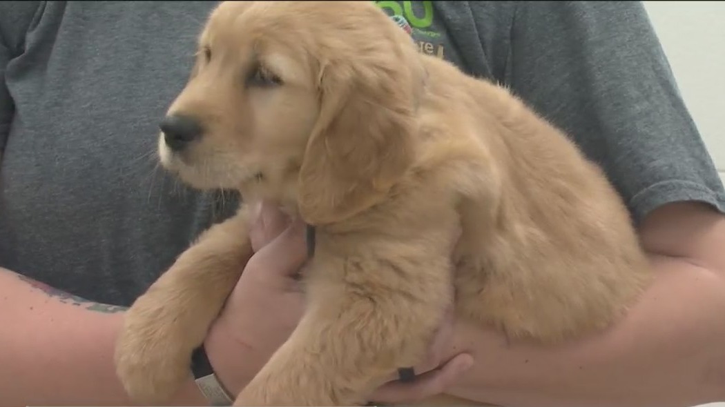Buckeye Ranch animal therapy program