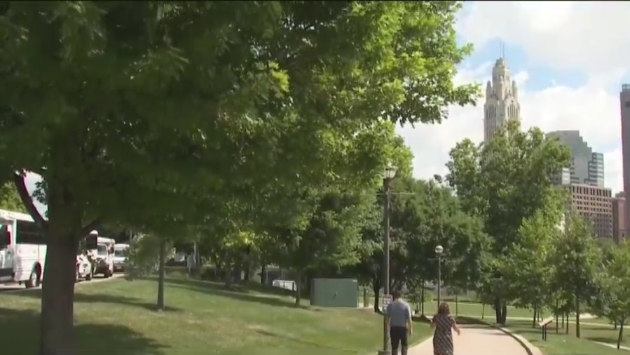 Columbus tree canopy