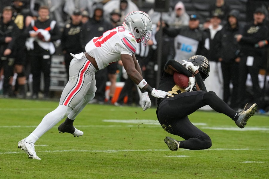 Purdue's TJ Sheffield (8) makes a catch against Ohio State's Josh Proctor (41) during the second half of an NCAA college football game, Saturday, Oct. 14, 2023, in West Lafayette, Ind. Ohio State won 41-7. (AP Photo/Darron Cummings)