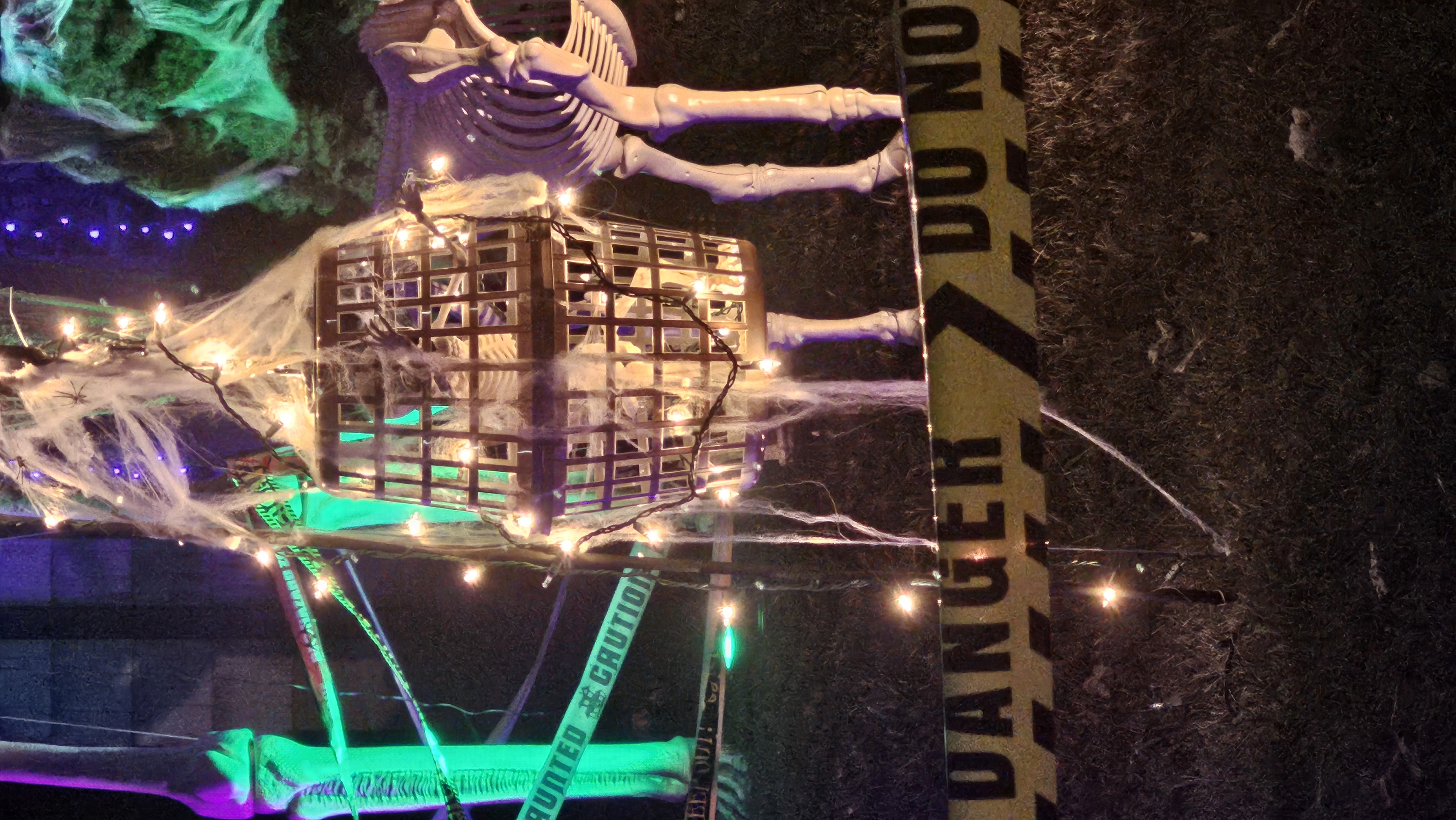 Robin Kefauver's 2023 Skeleton and Pumpkin patches (Photo: Robin Kefauver)