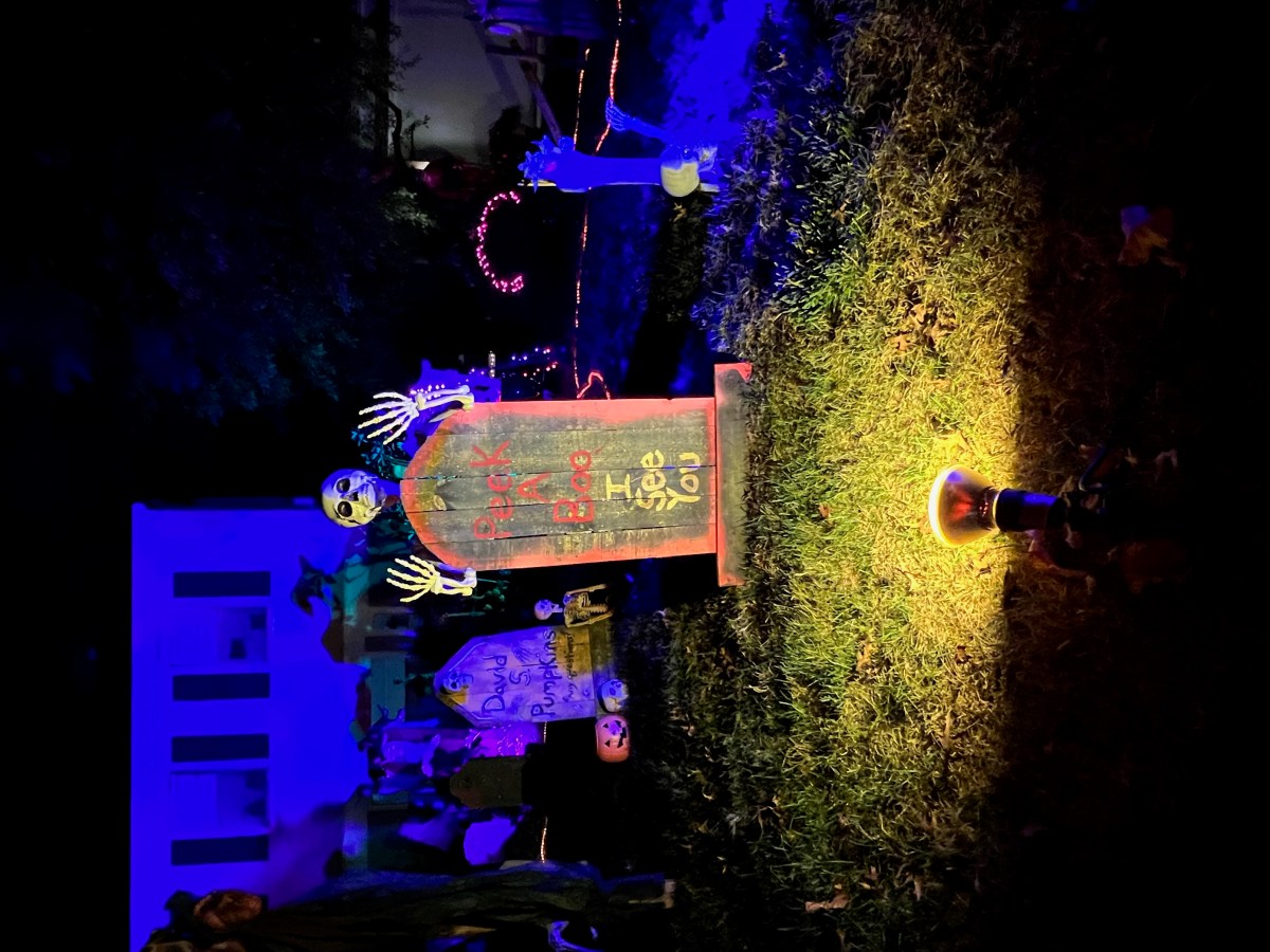 Derr family's 2023 Halloween graveyard (Photo: Bryan Derr)