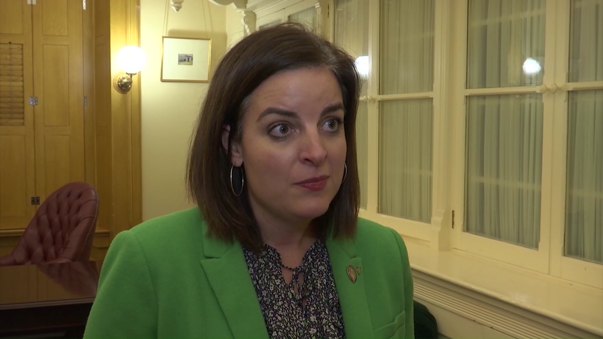 Former Ohio Rep. Brigid Kelly (NBC4)