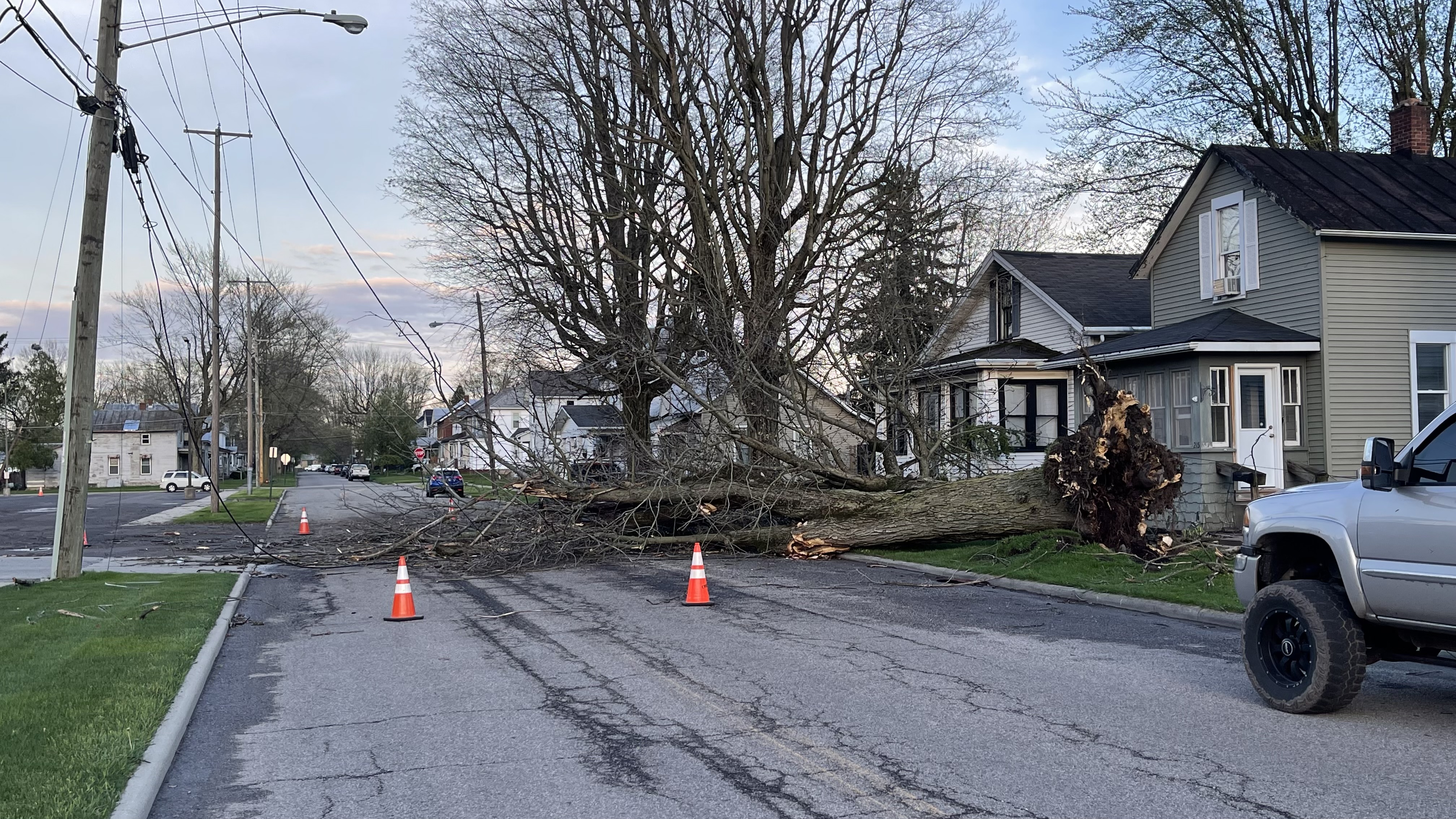 Wednesday's severe storms brought down several trees in Bucyrus, Crawford County. (NBC4)