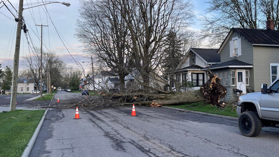 Wednesday's severe storms brought down several trees in Bucyrus, Crawford County. (NBC4)