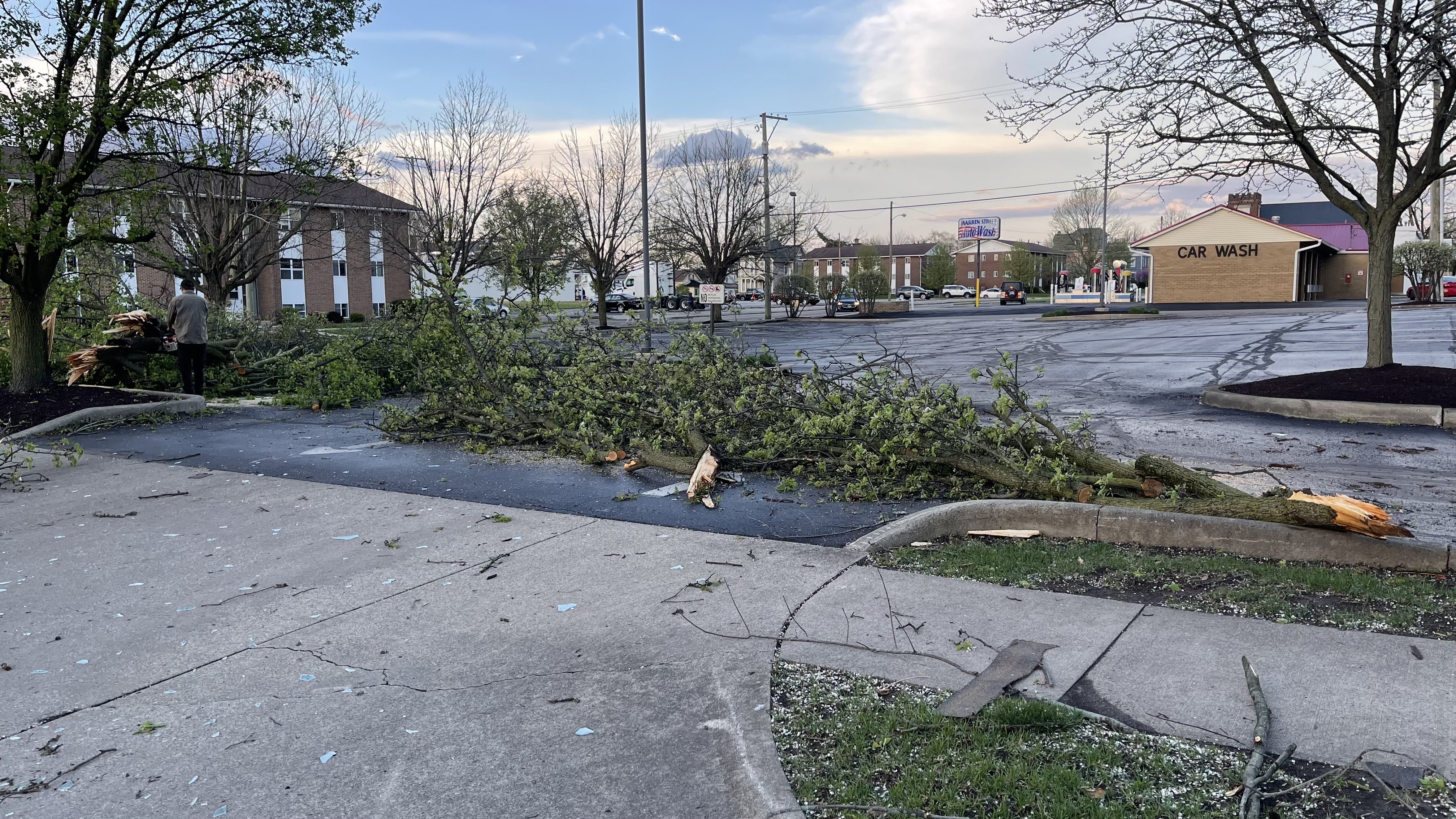 Wednesday's severe storms brought down several trees in Bucyrus, Crawford County. (NBC4)