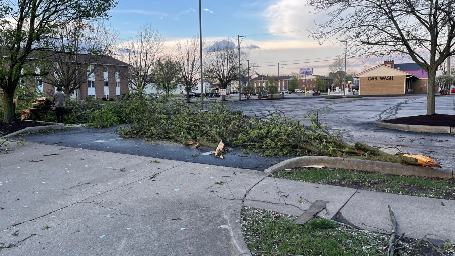 Wednesday's severe storms brought down several trees in Bucyrus, Crawford County. (NBC4)