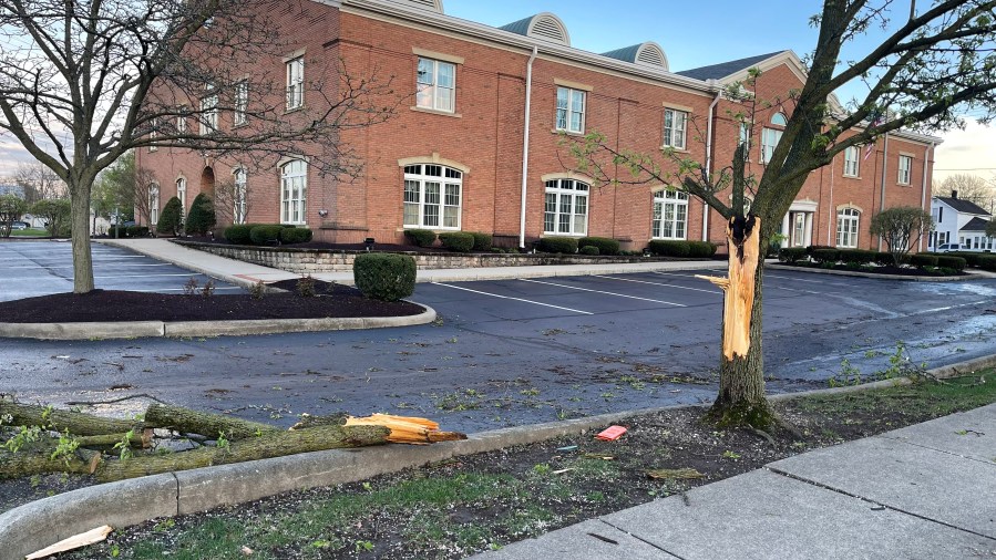 Wednesday's severe storms brought down several trees in Bucyrus, Crawford County. (NBC4)