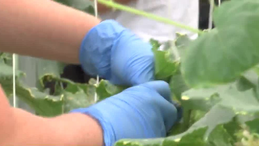 Columbus Academy students get 'hands-on' at Mid-Ohio Farm at NBC4