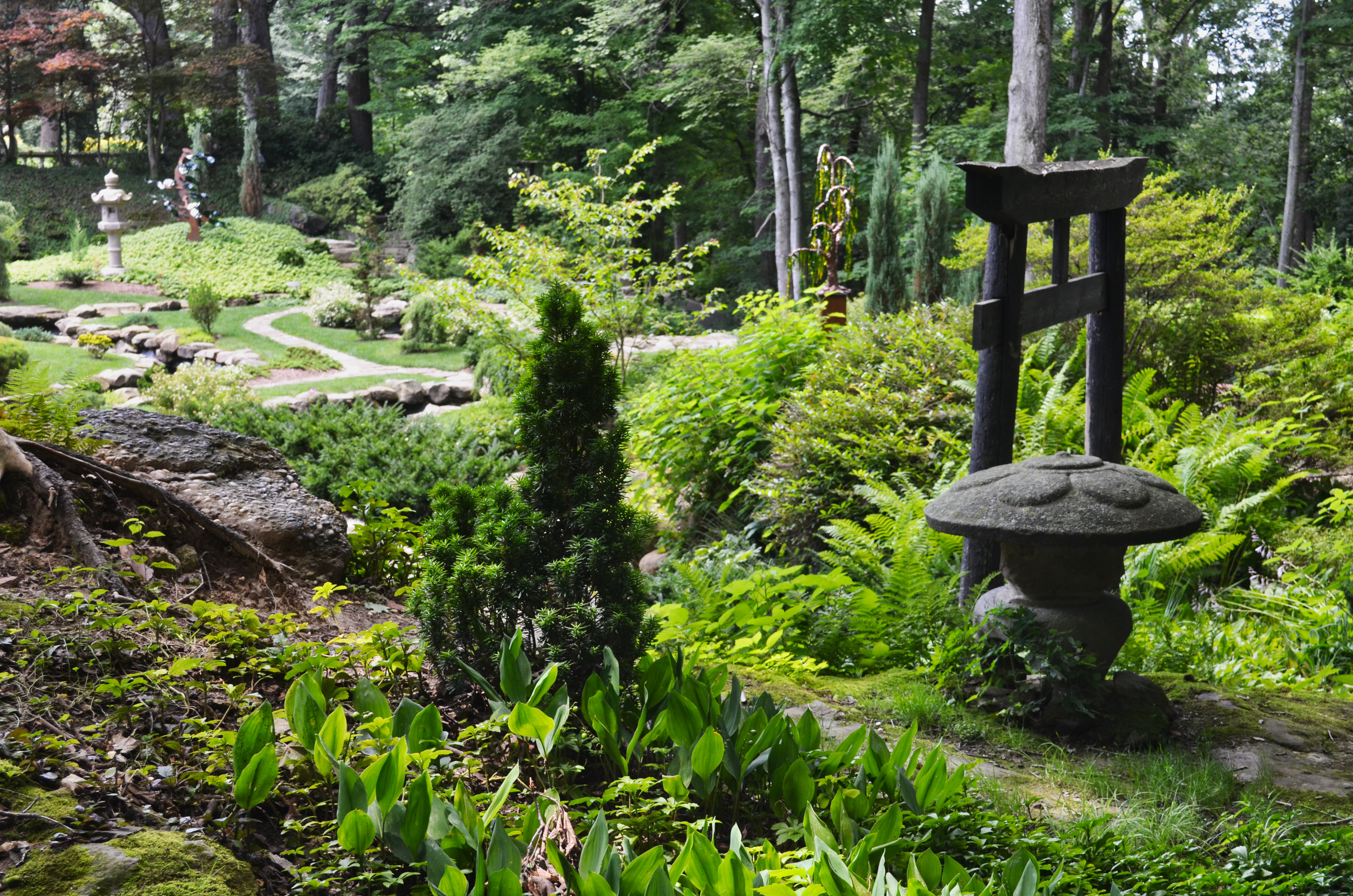 Japanese Garden at Stan Hywet Hall and Gardens Akron OH