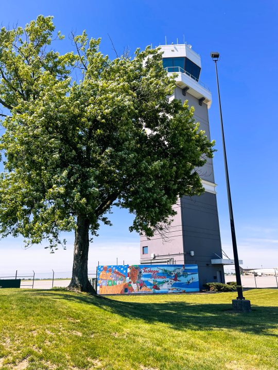 Complete Tuskegee Mural