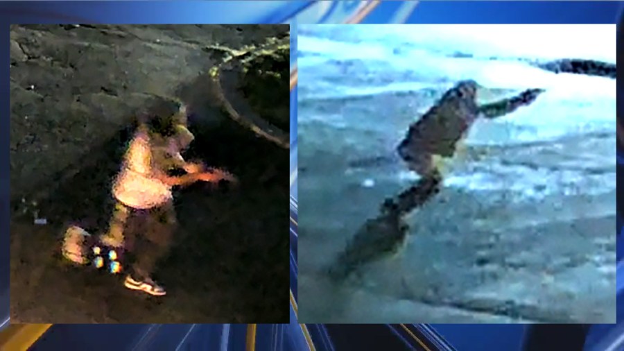 Two people of interest in a double fatal shooting at Krumm Park on June 3, 2024. (COLUMBUS DIVISION OF POLICE)