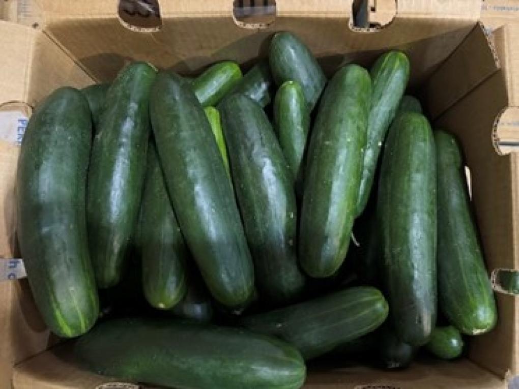 Fresh Start Produce Sales Inc. cucumber recall