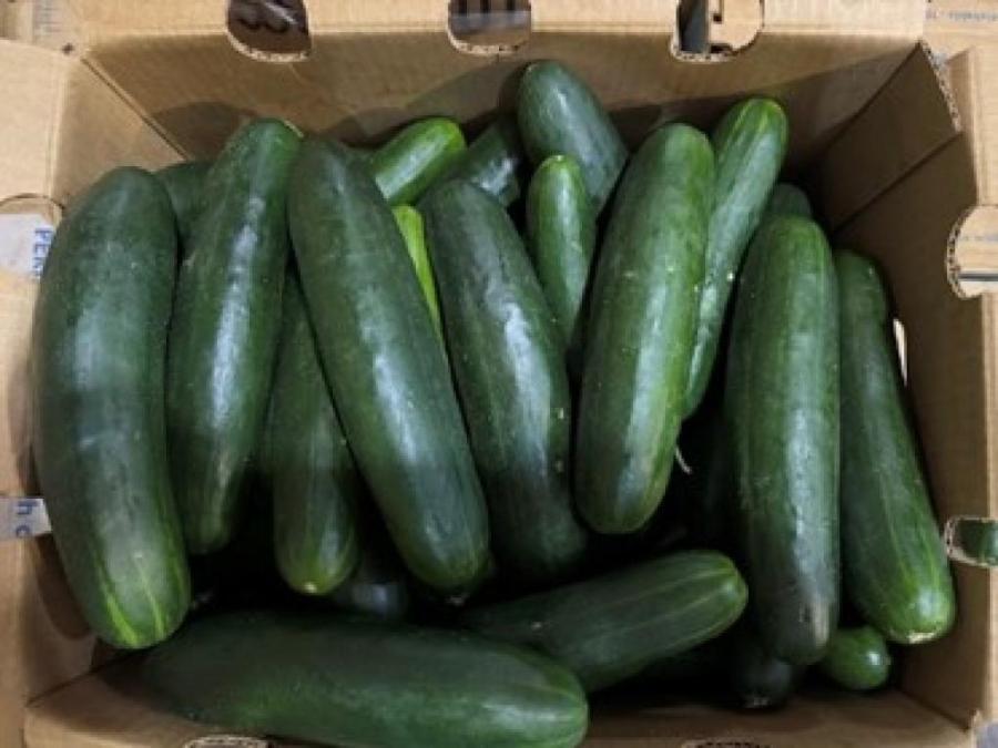Fresh Start Produce Sales Inc. cucumber recall