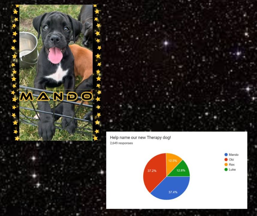 fcso-puppy-Mando(Courtesy: Franklin County Sheriff's Office)