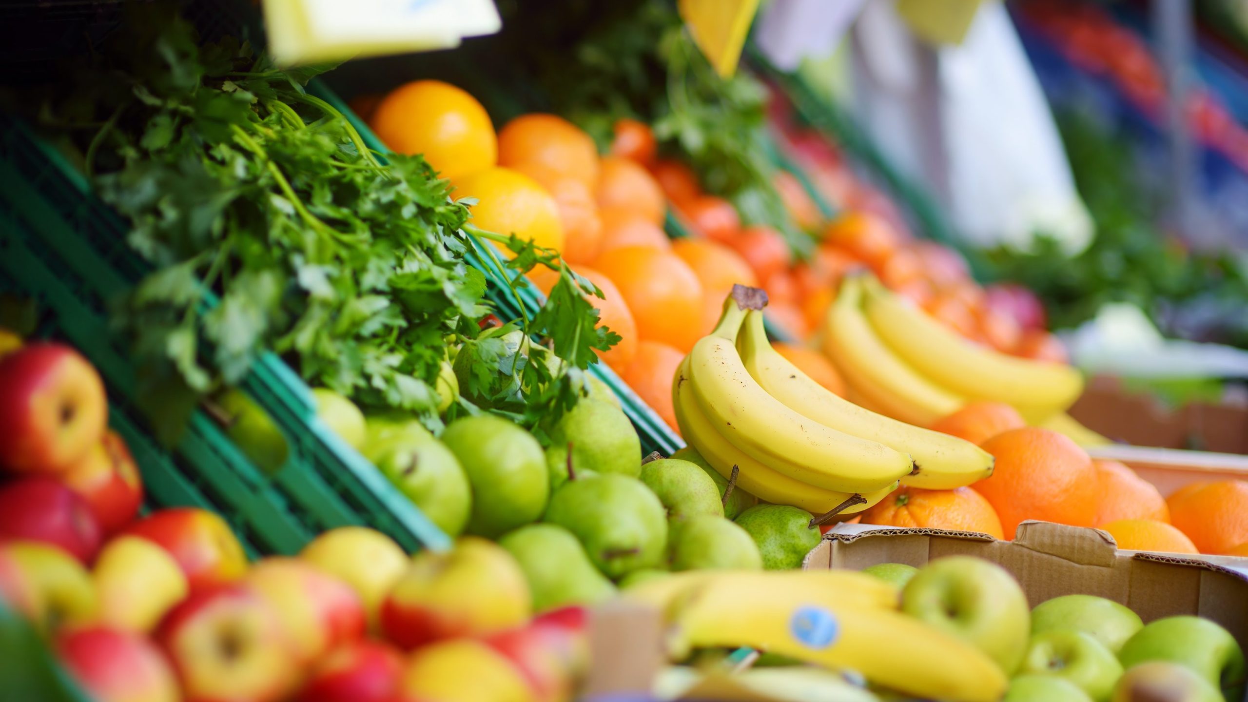 Fresh healthy bio fruits and vegetables on Bremen farmer agricultural market