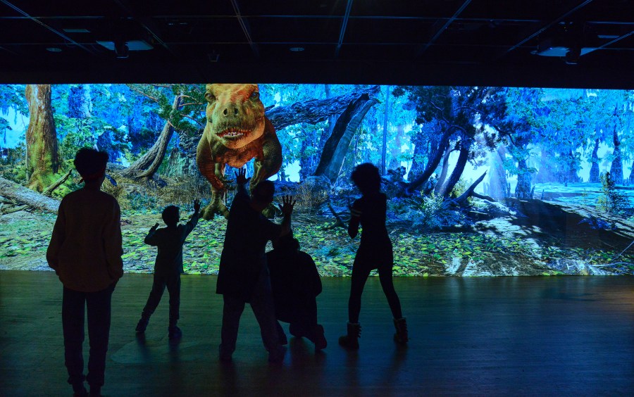 T. rex wall projection