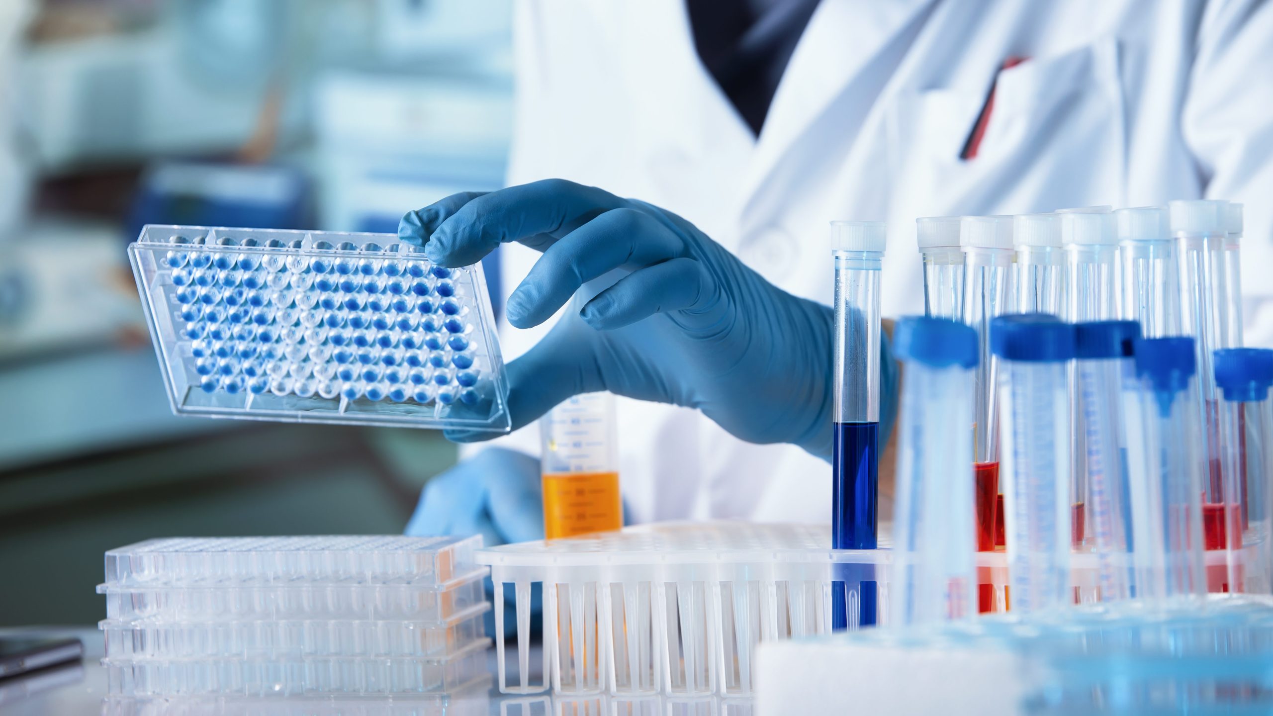 Researcher working with microplate panel for diseases diagnosis in the laboratory. Doctor working with microplate for elisa analysis