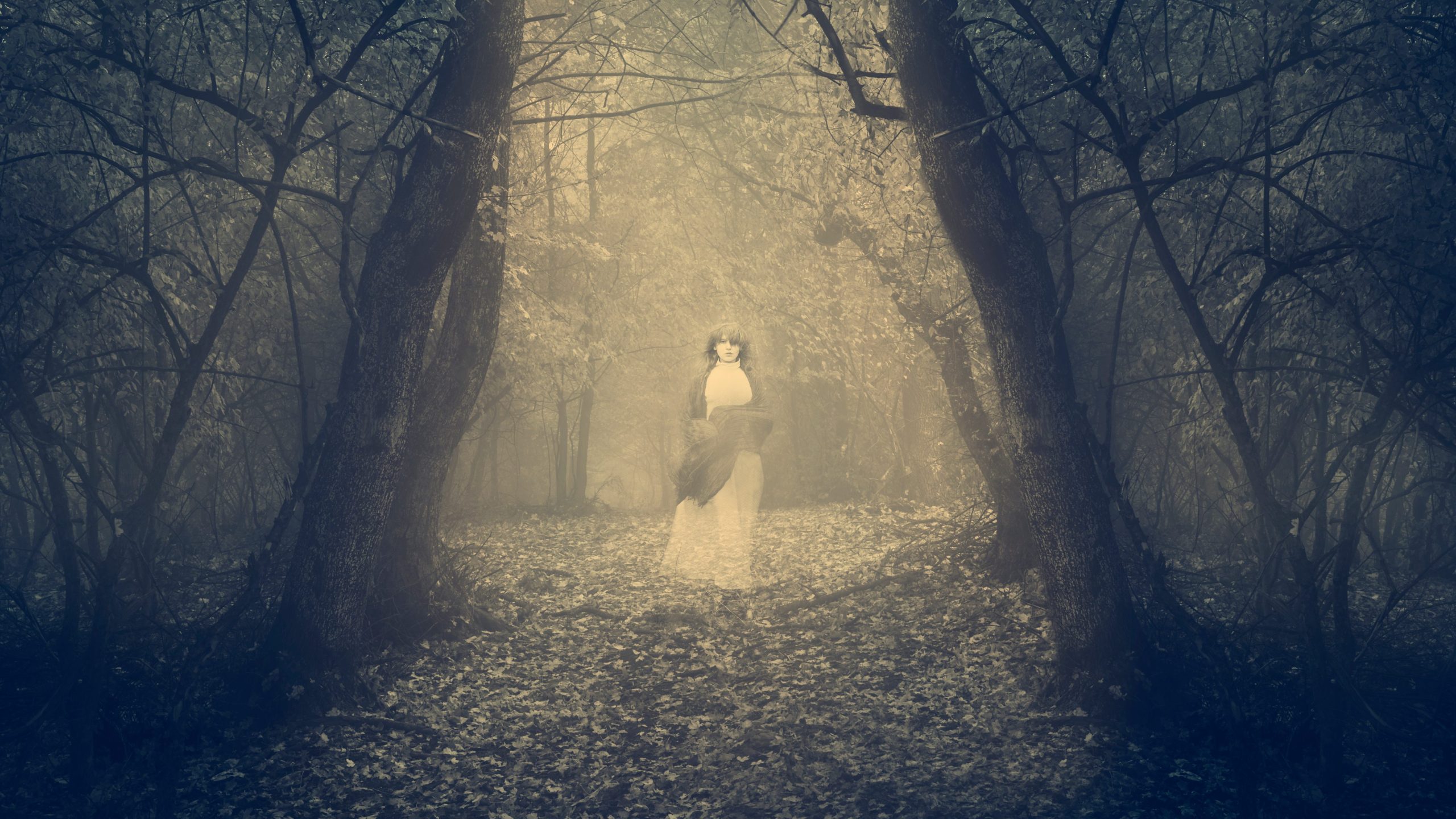 White ghost appears in the forest's mist
