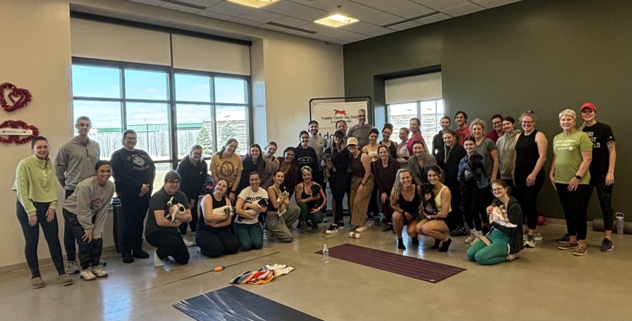 All 10 puppies found in a box in below-freezing weather in January were adopted after a 'puppy yoga' event at the Franklin County Dog Shelter on Sunday, March 2, 2025. (PHOTO COURTESY FRANKLIN COUNTY DOG SHELTER)