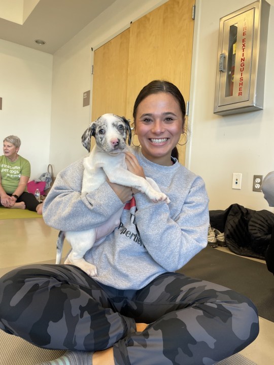 All 10 puppies found in a box in below-freezing weather in January were adopted after a 'puppy yoga' event at the Franklin County Dog Shelter on Sunday, March 2, 2025. (PHOTO COURTESY FRANKLIN COUNTY DOG SHELTER)