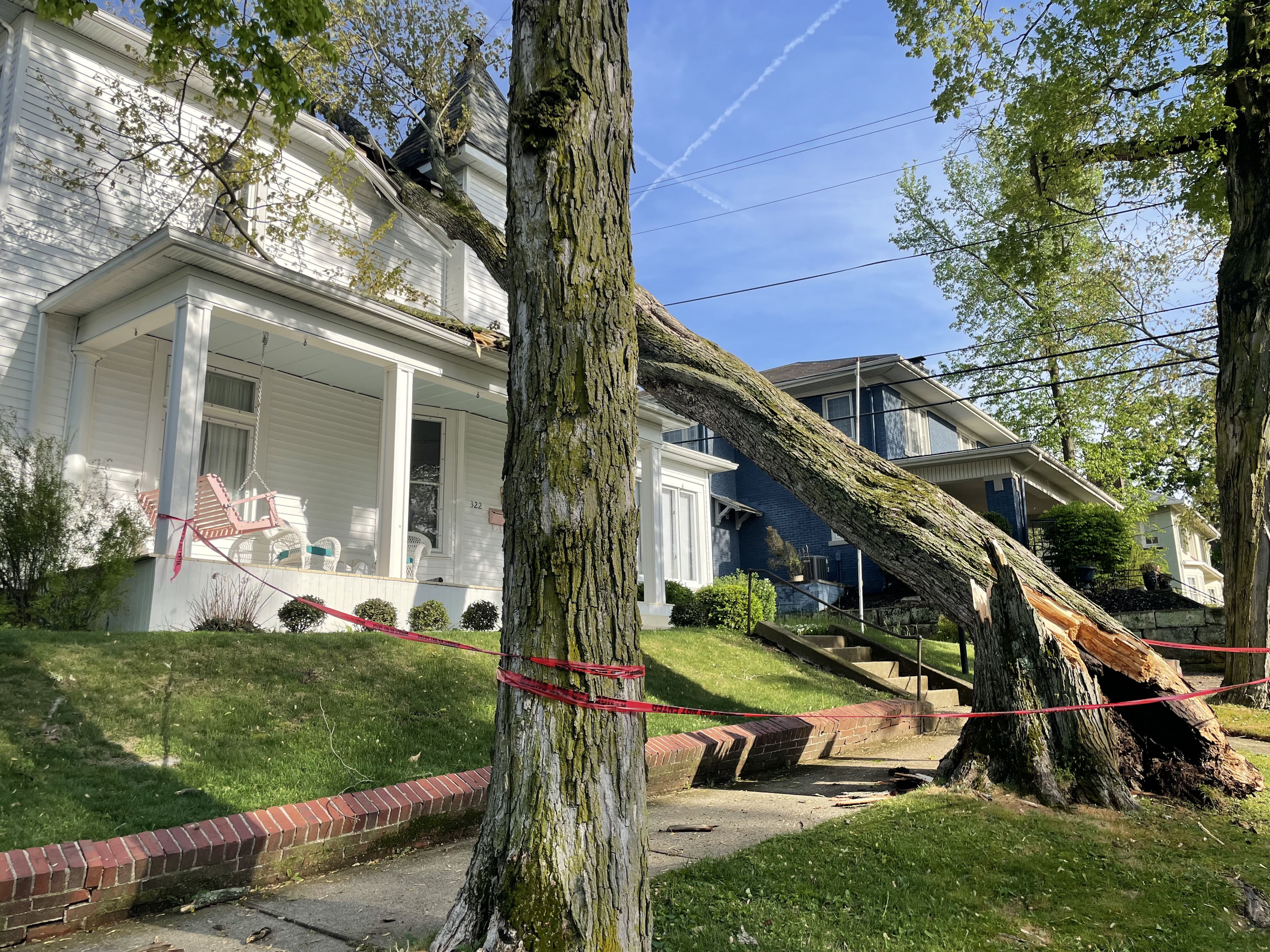 A tree fell into a home on High Street in Lancaster after storms rolled through the area on April 29, 2025. (NBC4)