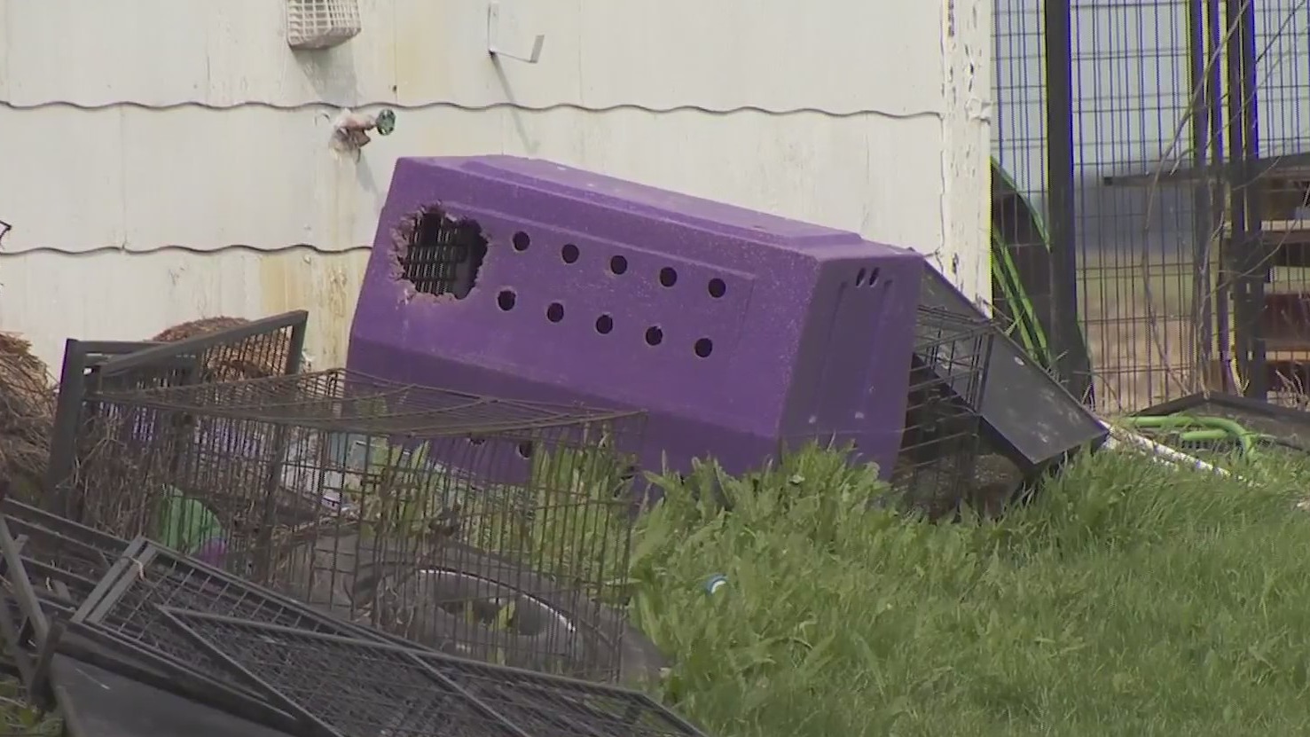 A smashed dog crate found outside a Madison County home where the bodies of nine dogs were found. (NBC 4)