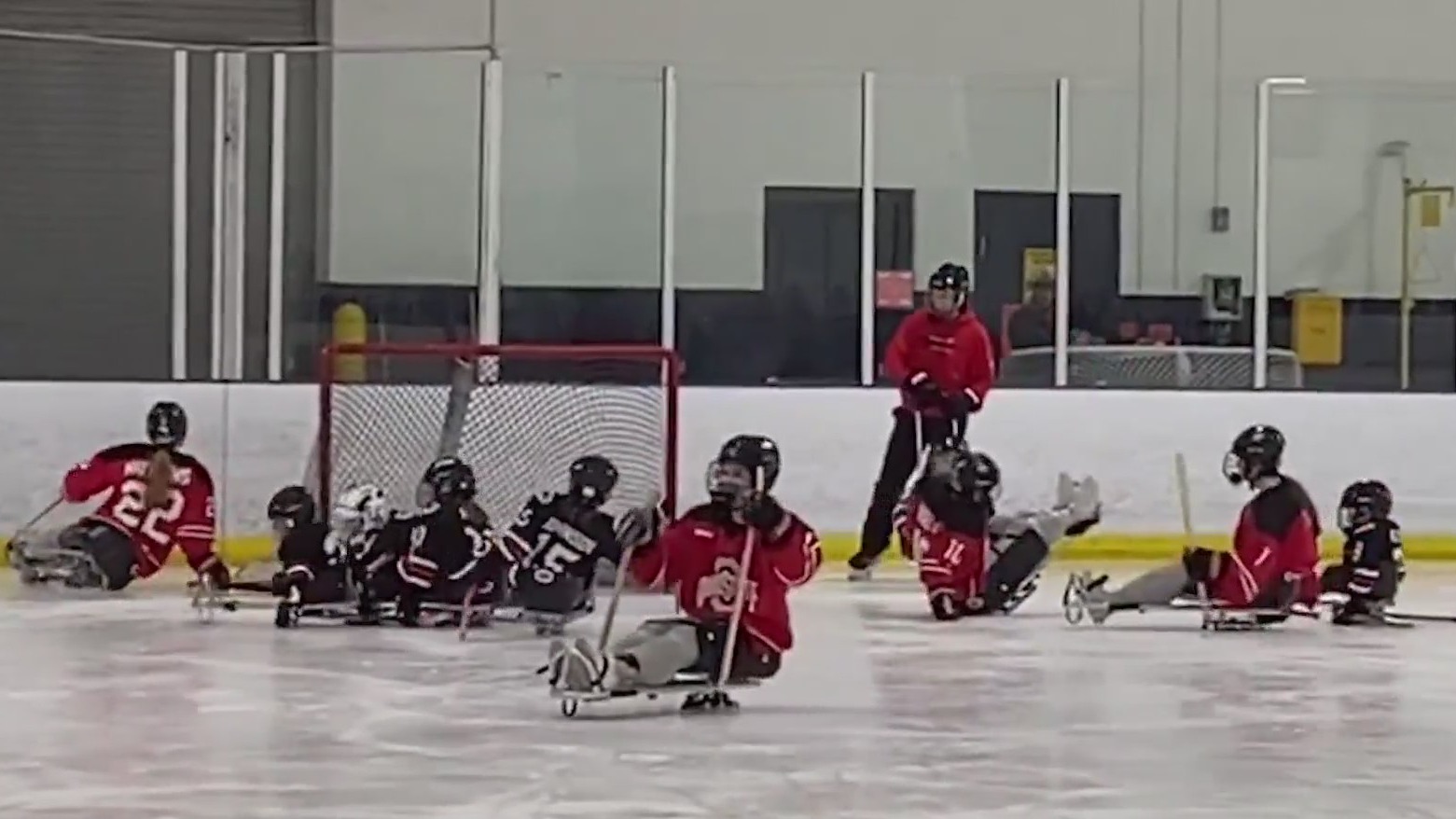 Columbus Blades and Ohio State women's hockey play a sled hockey scrimmage game.