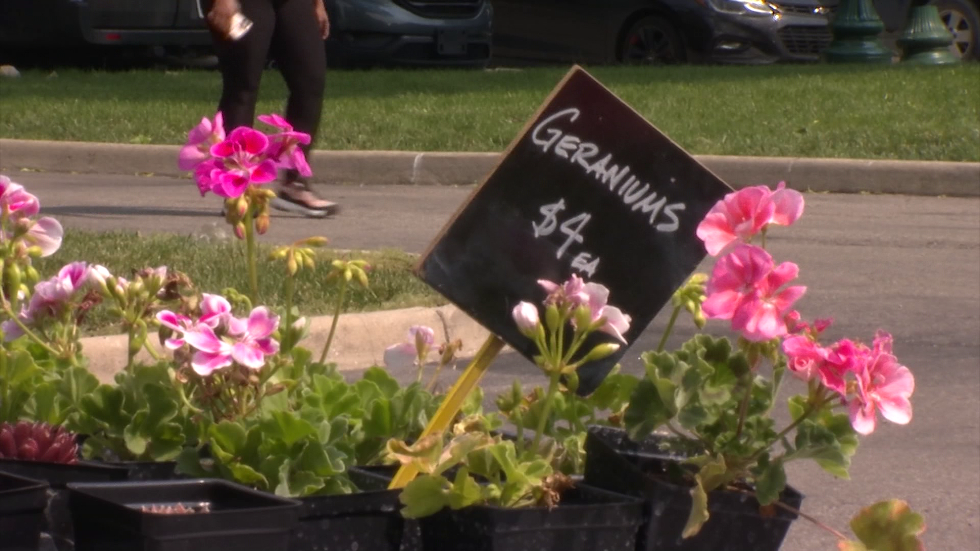 Franklin Conservatory Farmers Market